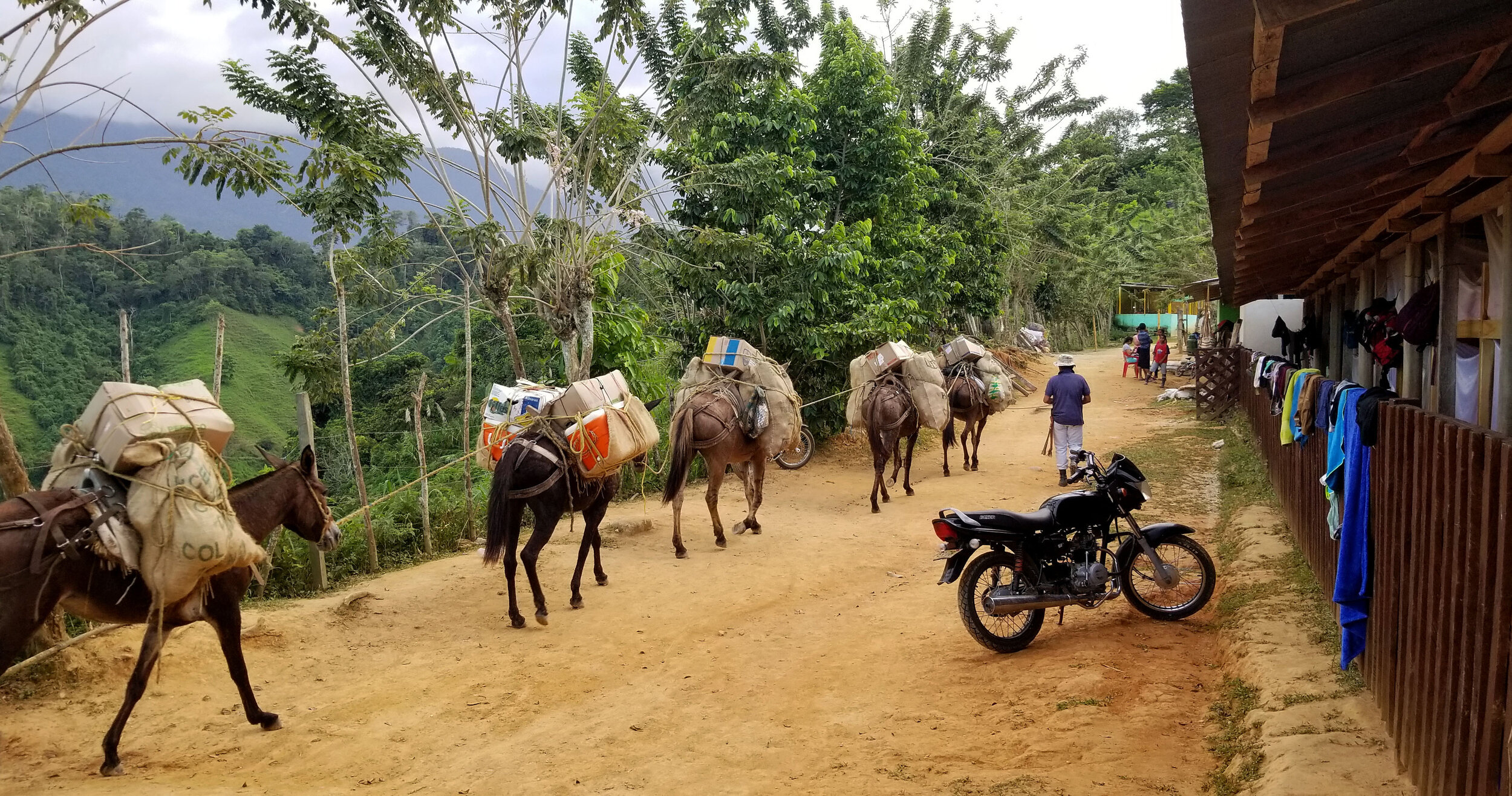 mulas would accompany each hiking group as they would transport all of the food and supplies for the kitchen. the cooks would leave ahead of us to set up and have food ready by the time we got there.