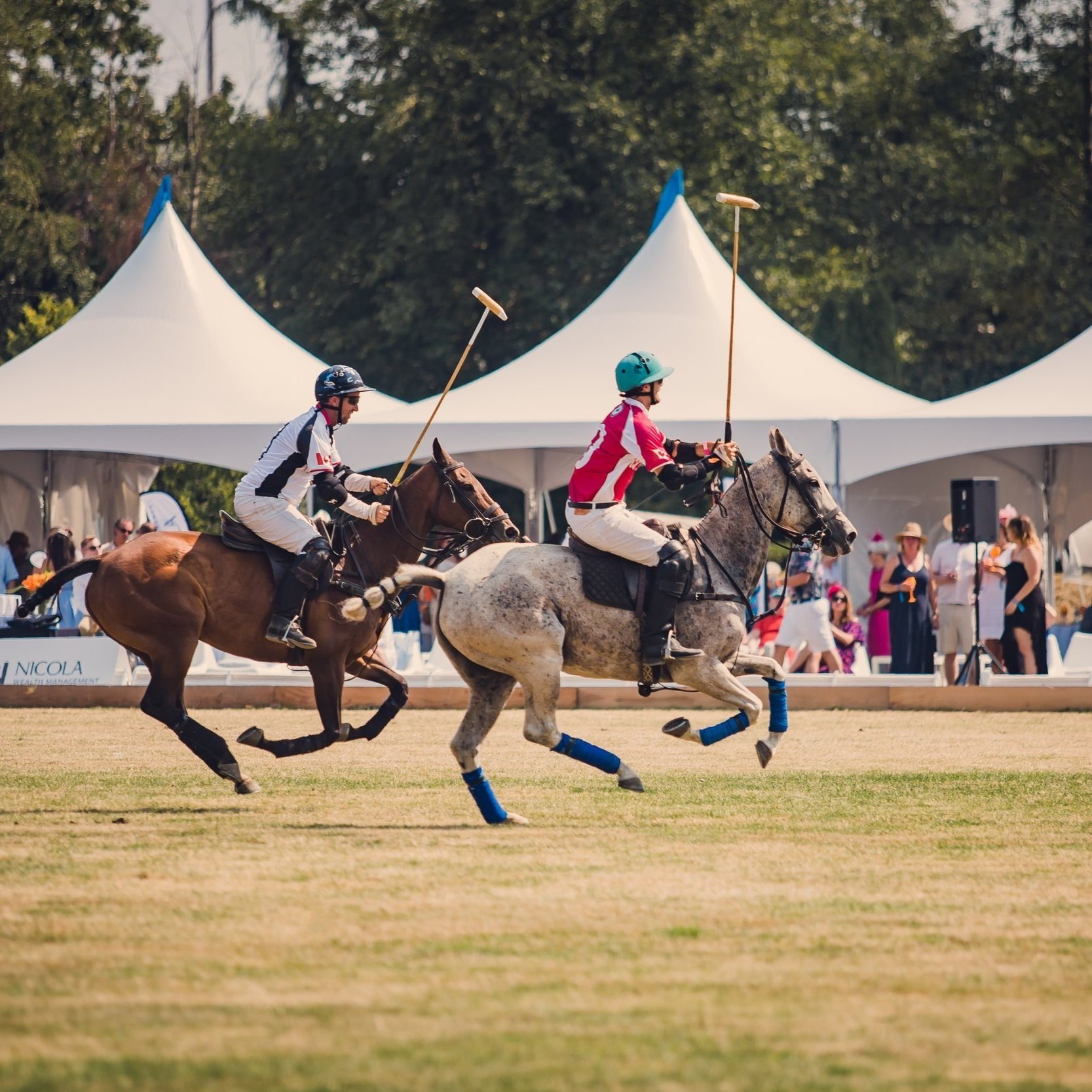 500_PoloCup_2018.jpg