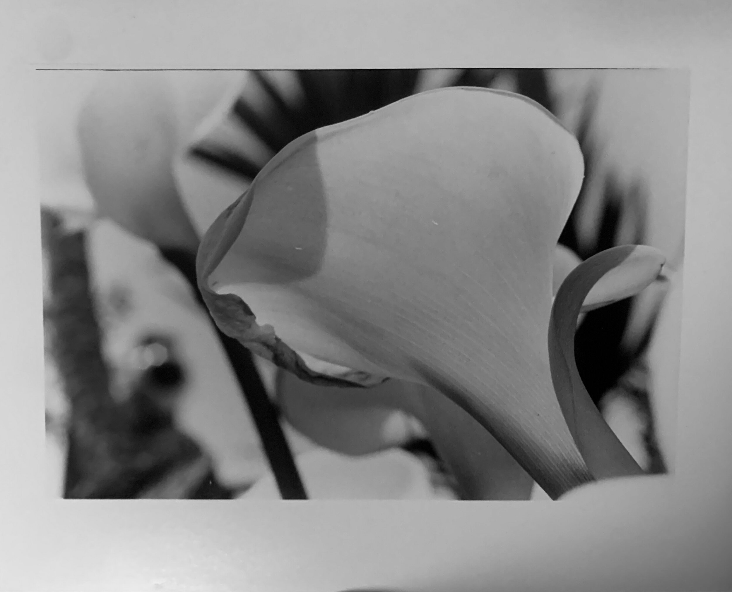 B&amp;W Film Print 1