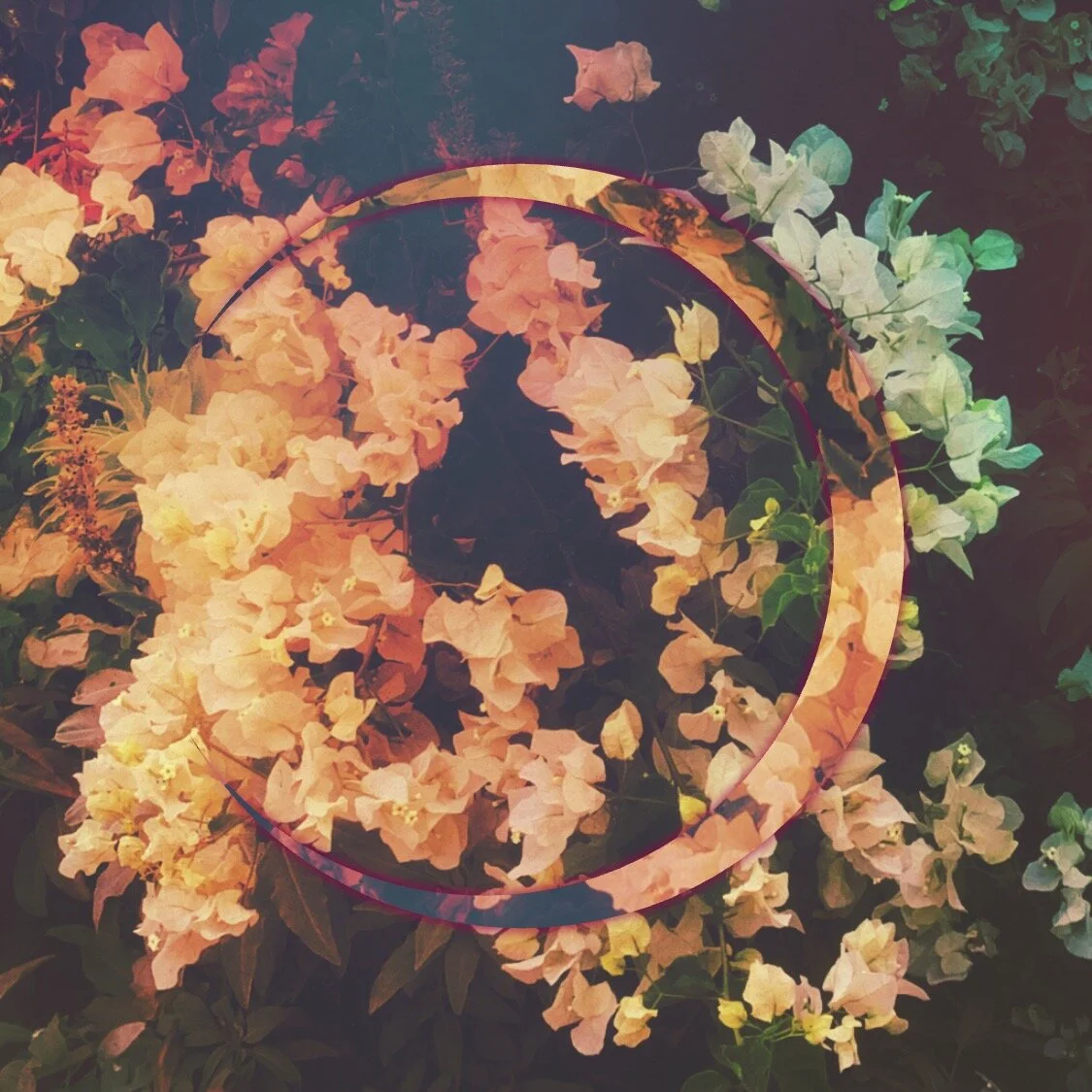 'Untitled Sunday' | Listening to: Lenzman