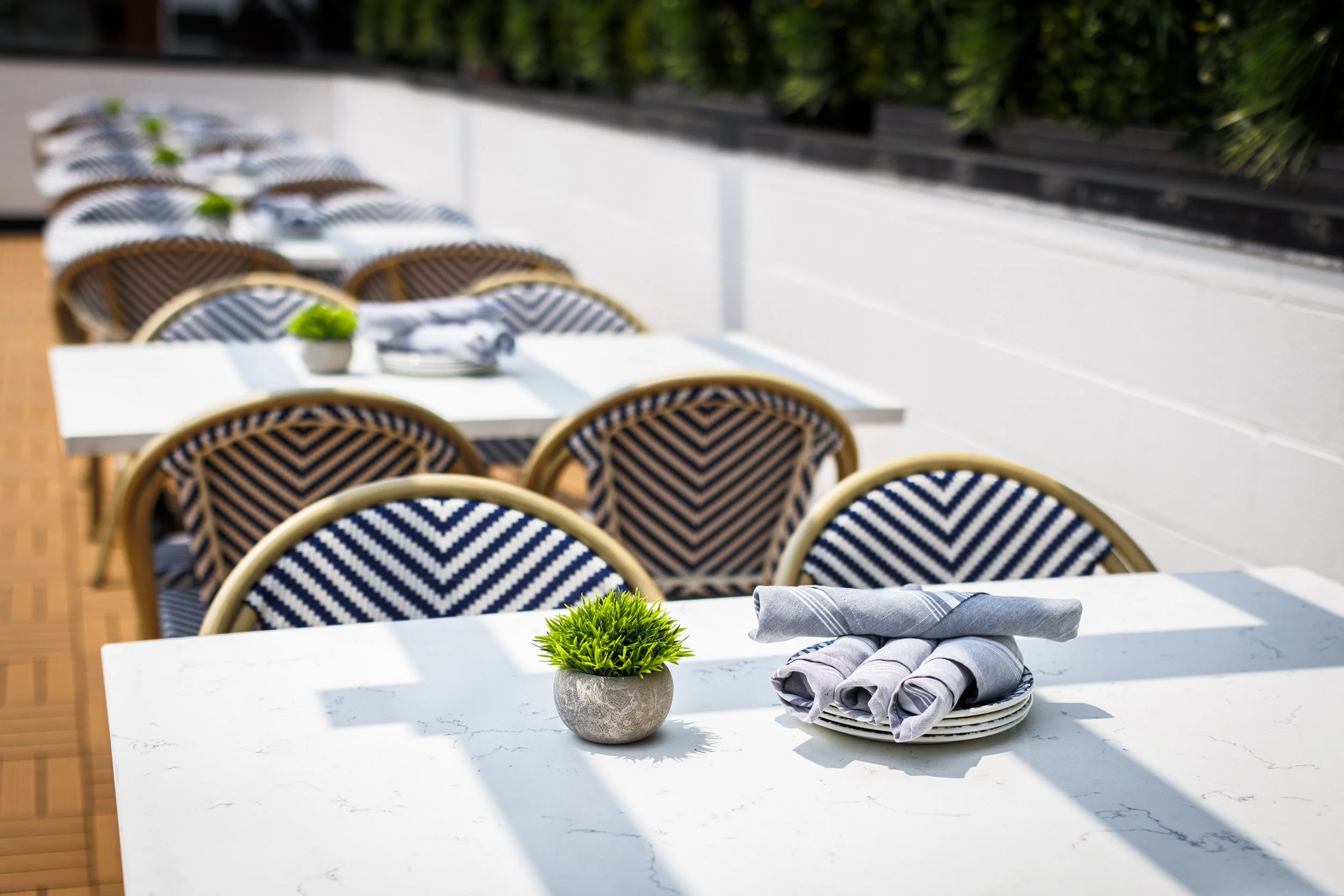 001-From-the-Hip-Photo copy.jpg