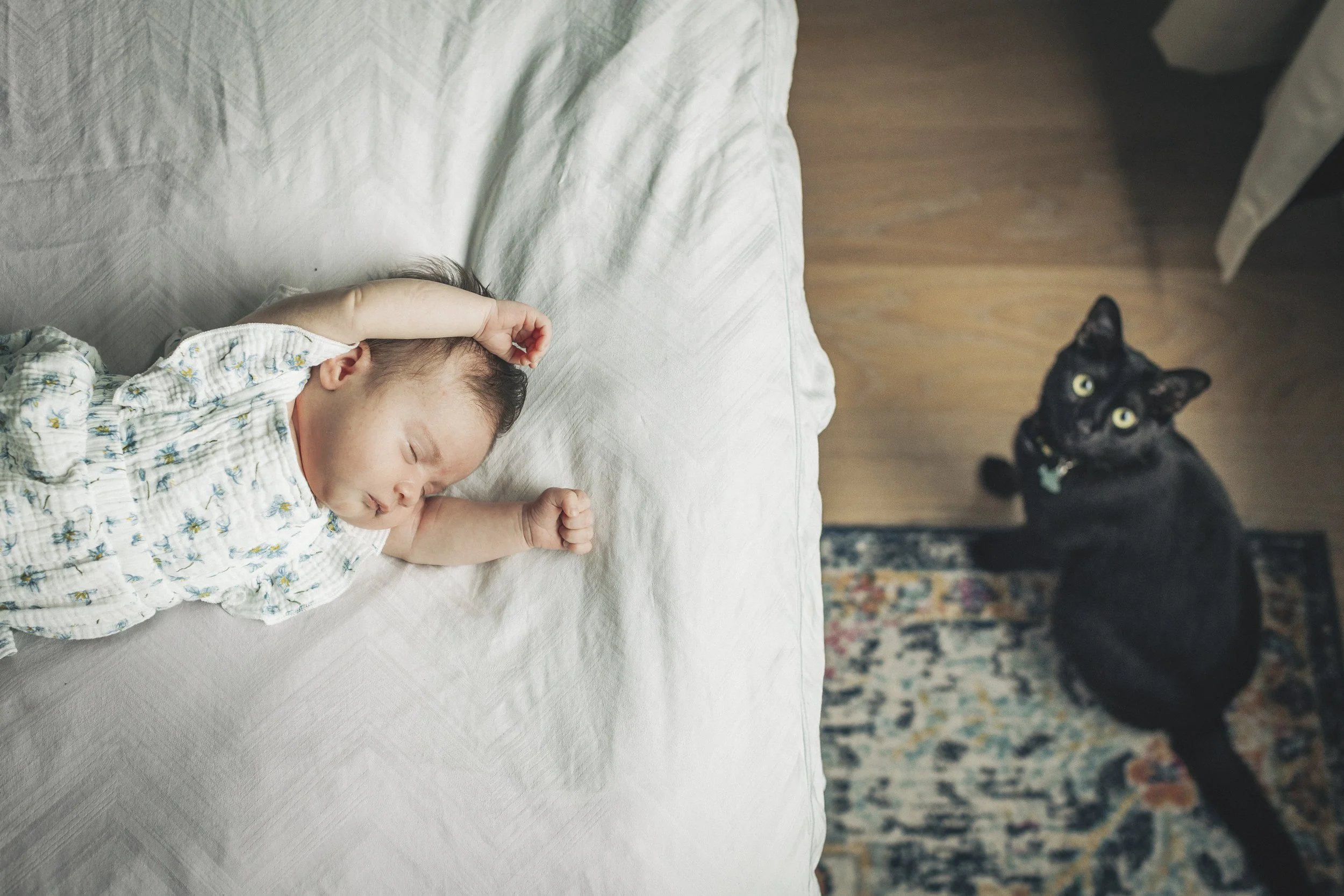 003-From-the-Hip-Photo copy.jpg