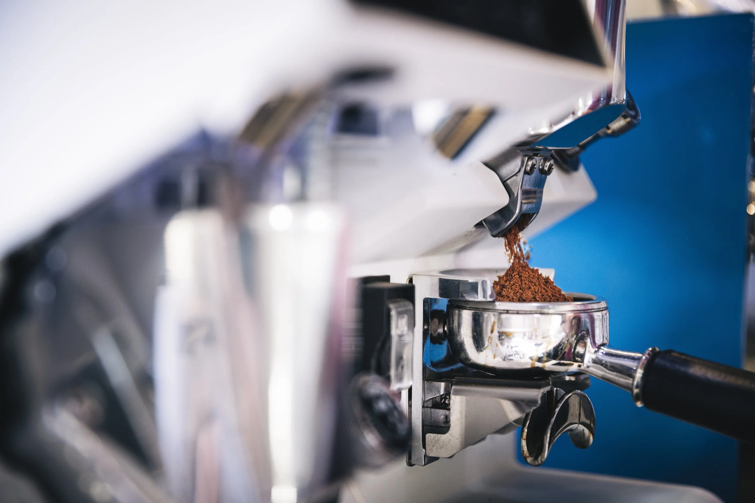 030-From the Hip Photo copy.jpg