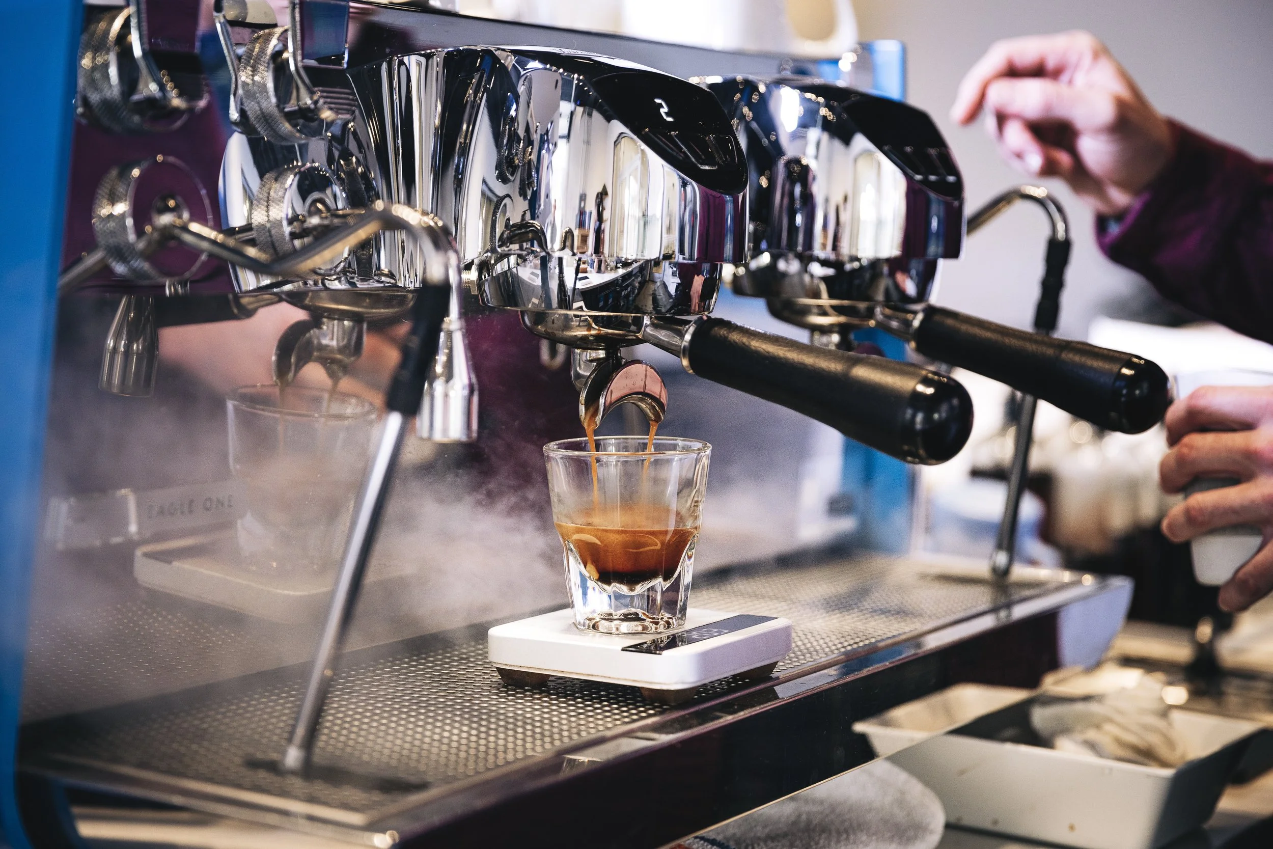 031-From the Hip Photo copy.jpg