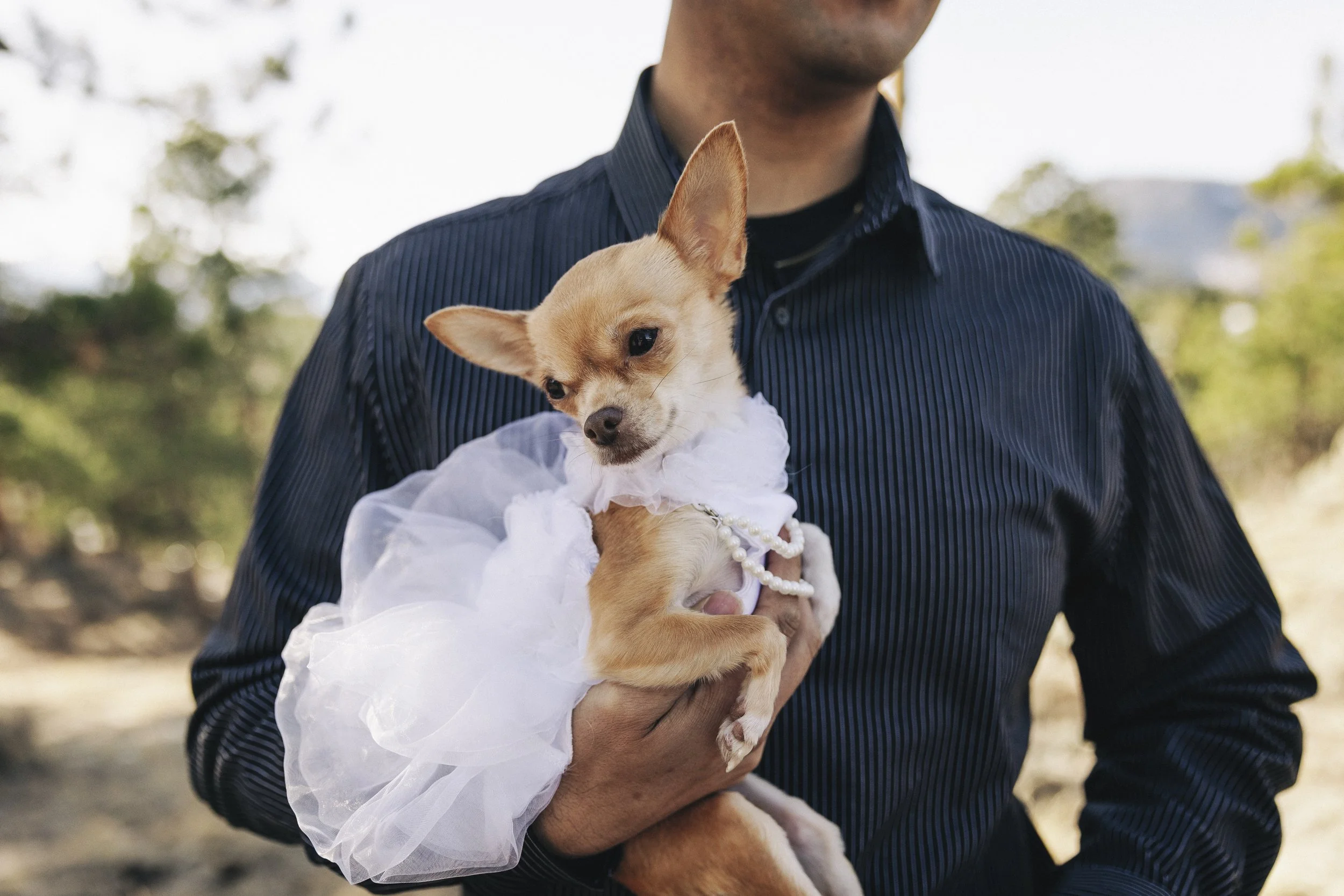 011- From the Hip Photo copy.jpg