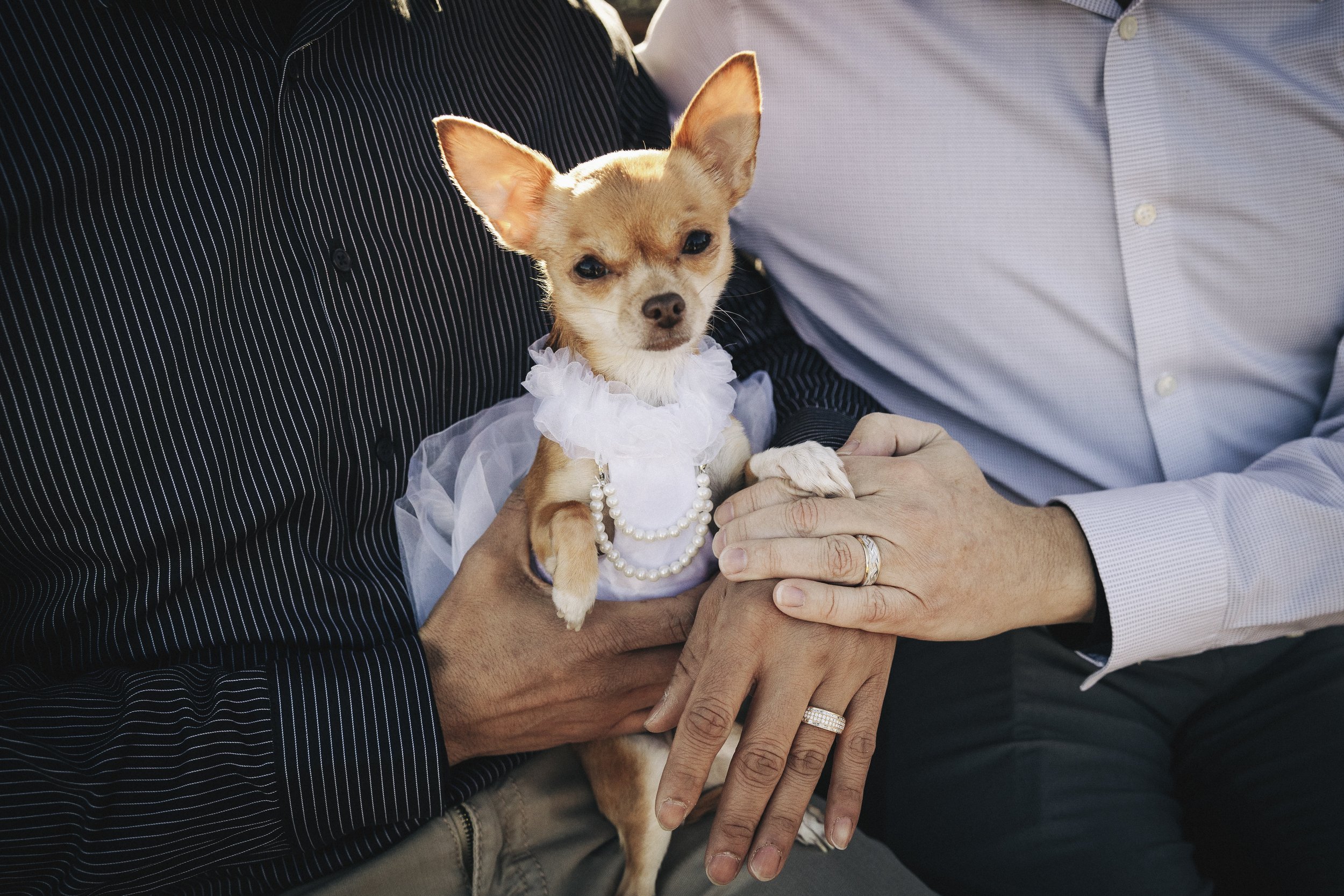 033- From the Hip Photo copy.jpg