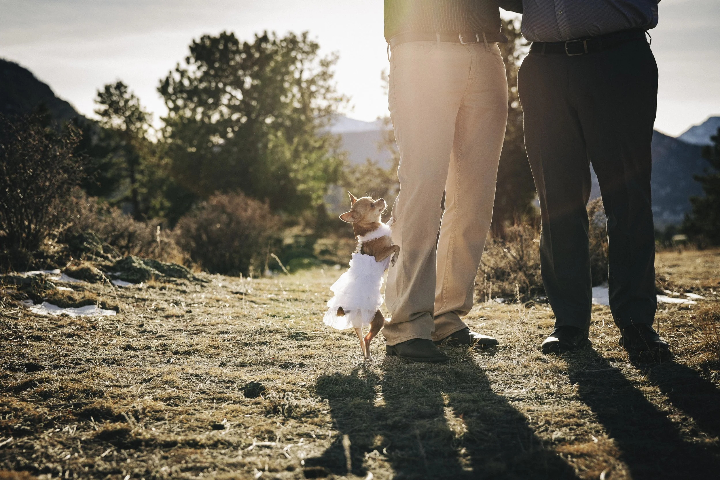 035- From the Hip Photo copy.jpg