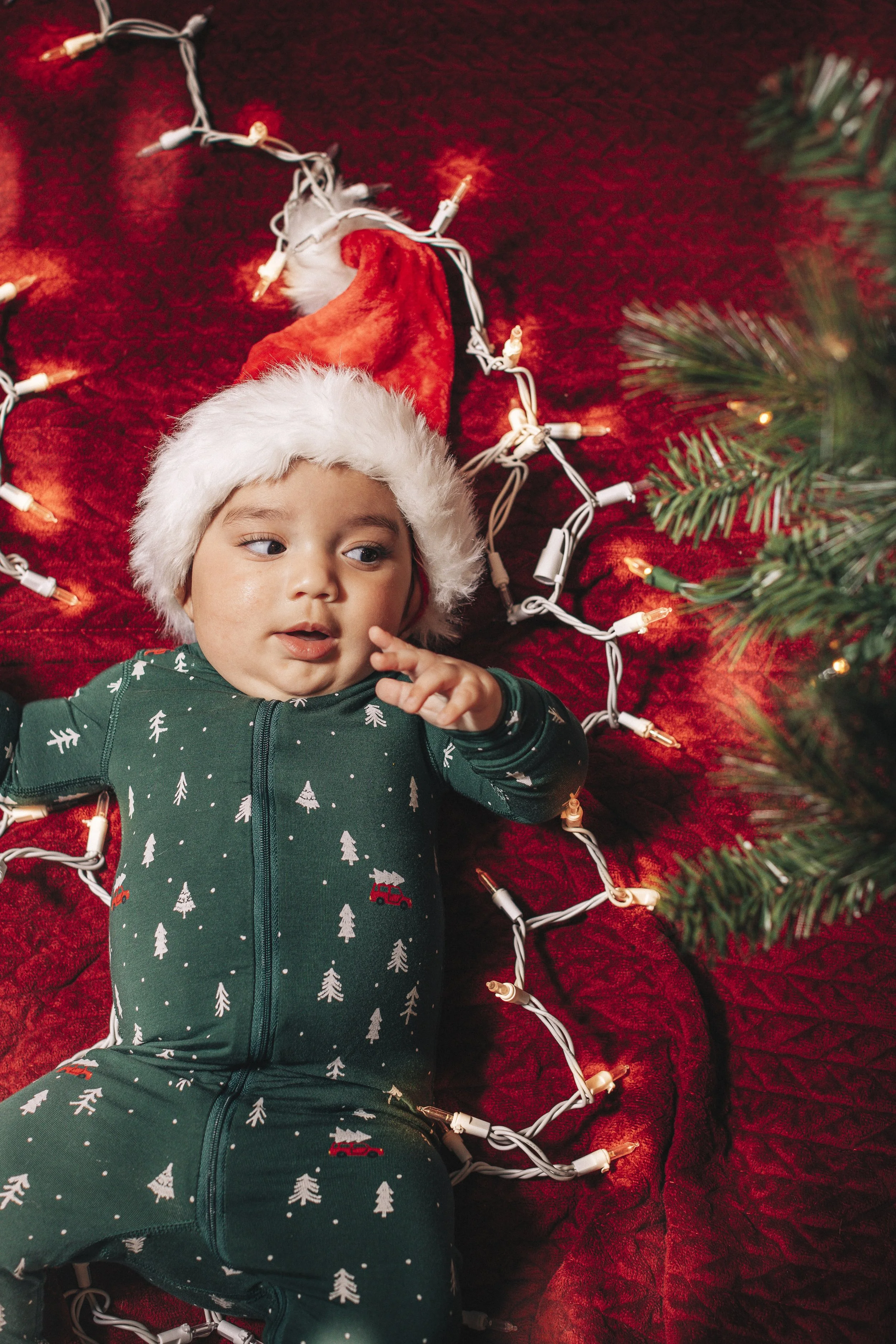 019- From the Hip Photo copy.jpg