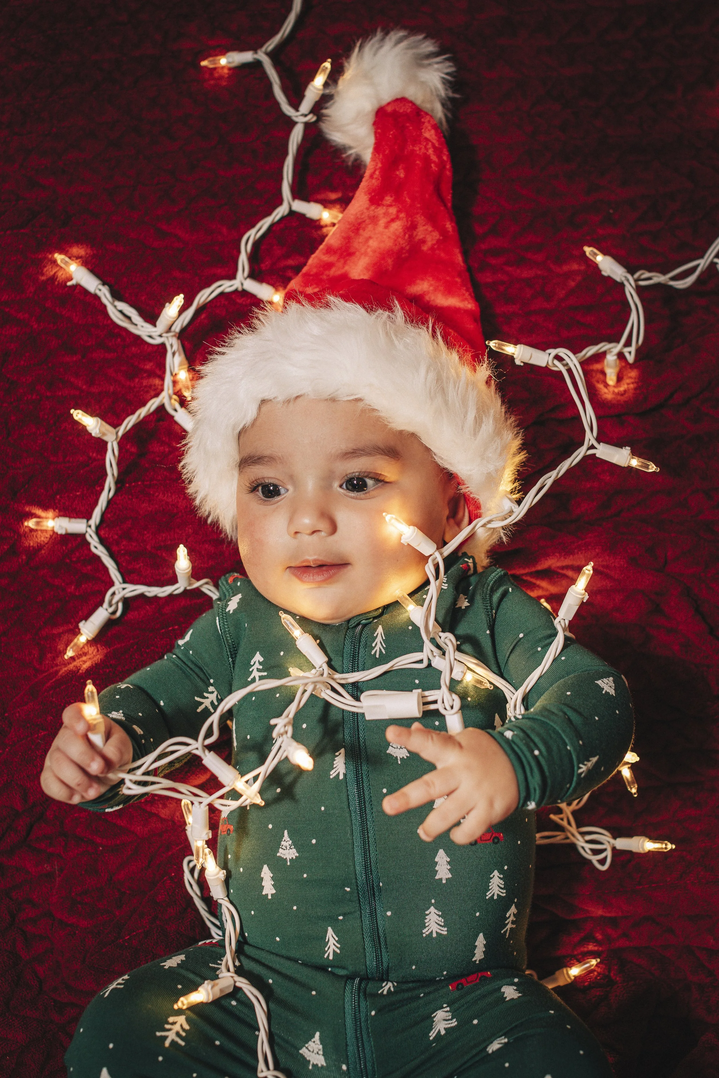 023- From the Hip Photo copy.jpg