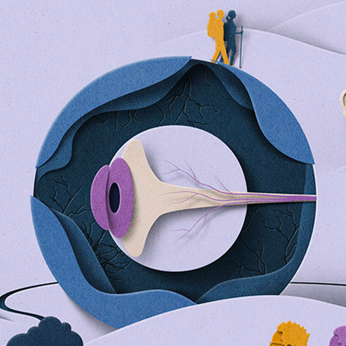 nmo cover image.png