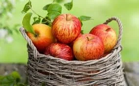 apple.jpg