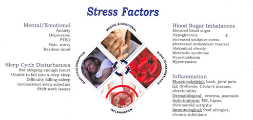 Image proved by the Lifestyle Matrix Resource Center.