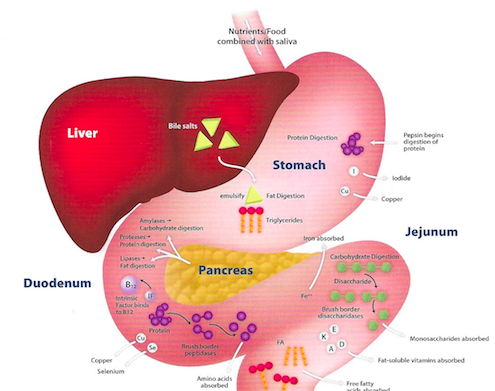 Image proved by the Lifestyle Matrix Resource Center.