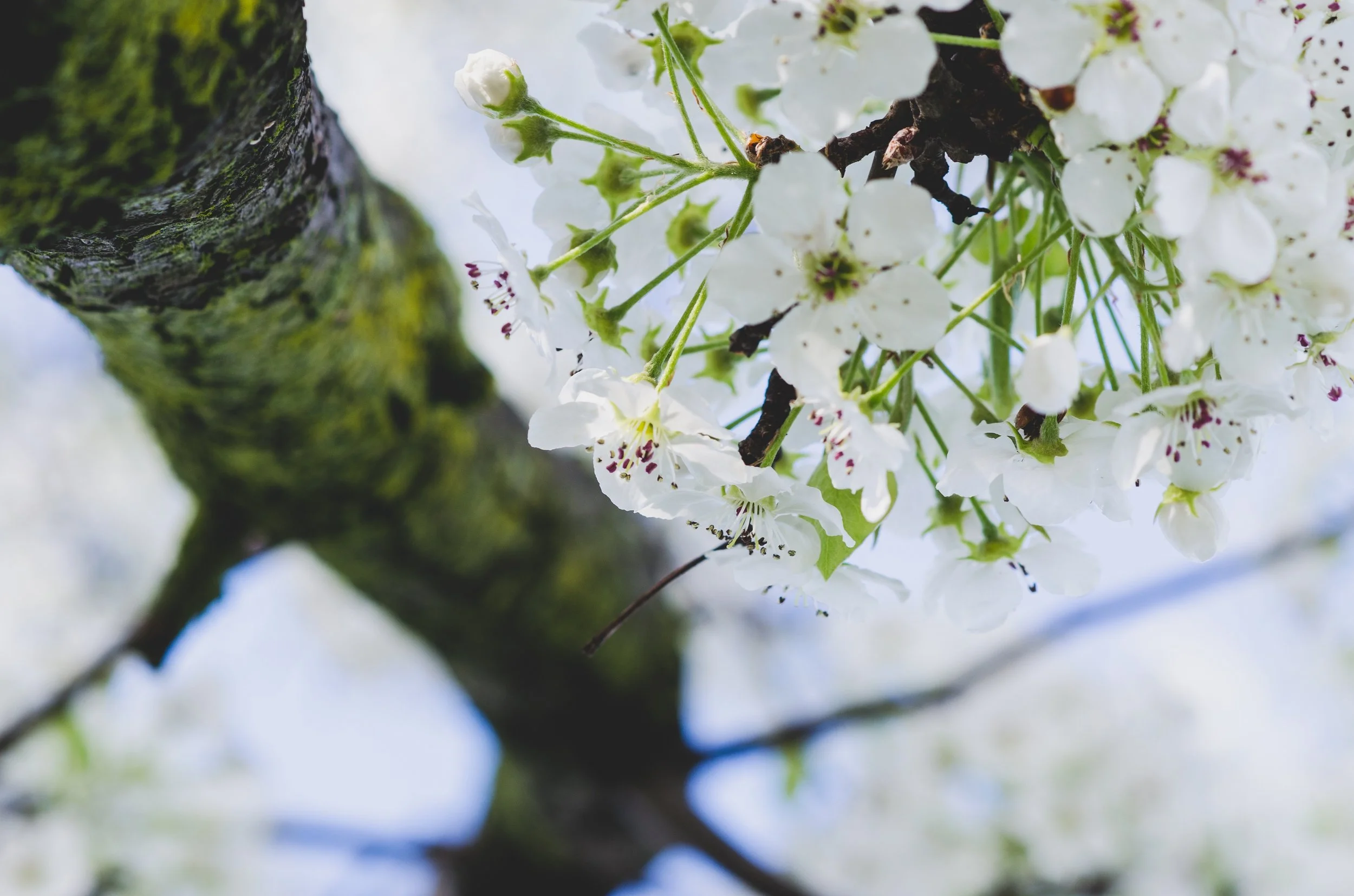 khurt-williams-98526-unsplash.jpeg