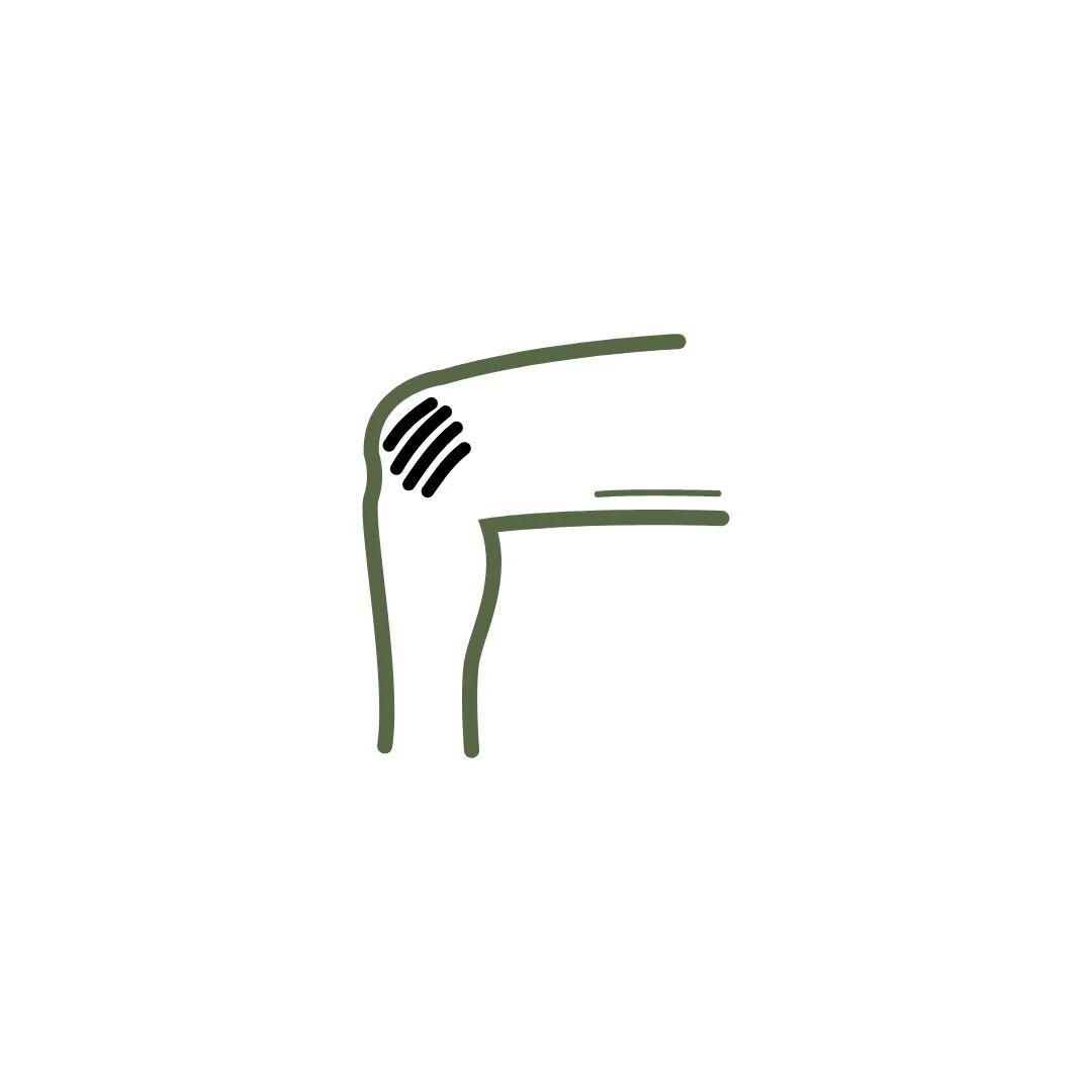Website-4.jpg