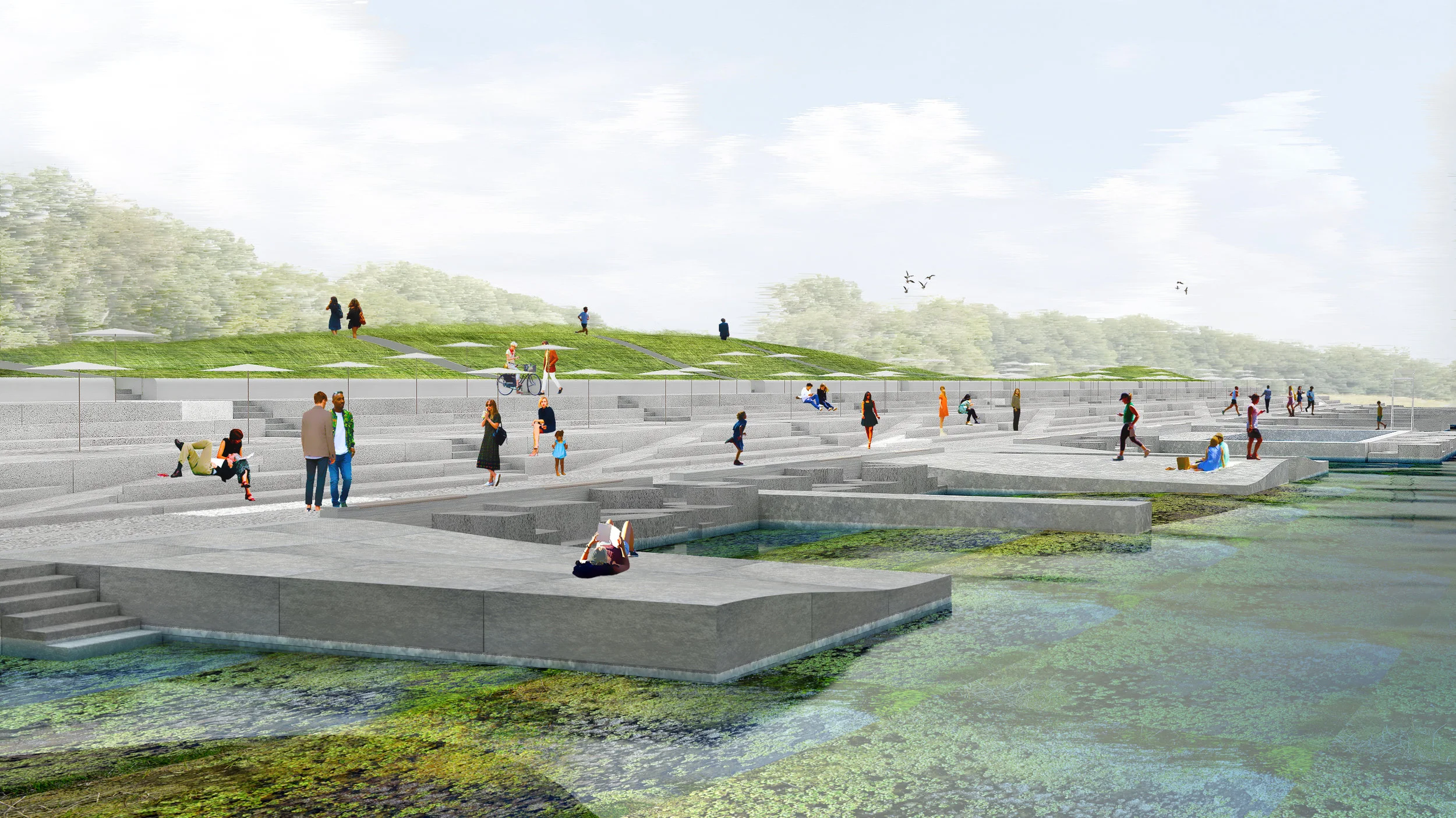 Waterfront_lowtide.jpg