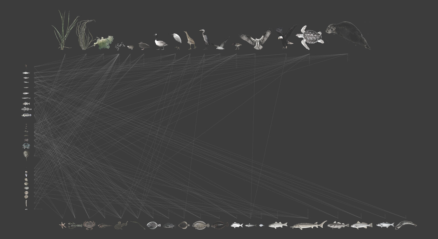 civitas_reimagining_waterfront_competition_new_york_diagram_aershop.jpeg