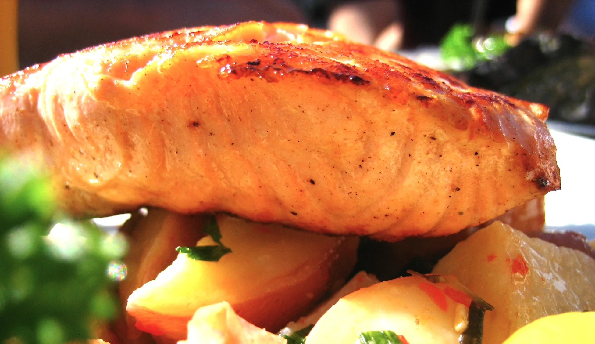 Moroccan Salmon: $14.95