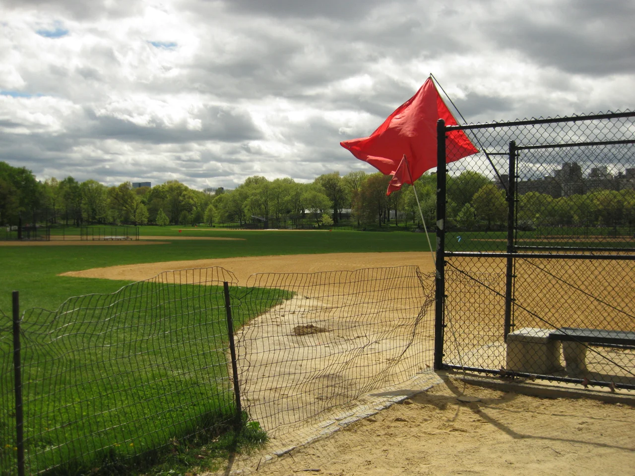 red-flag-homepage-bg.jpg