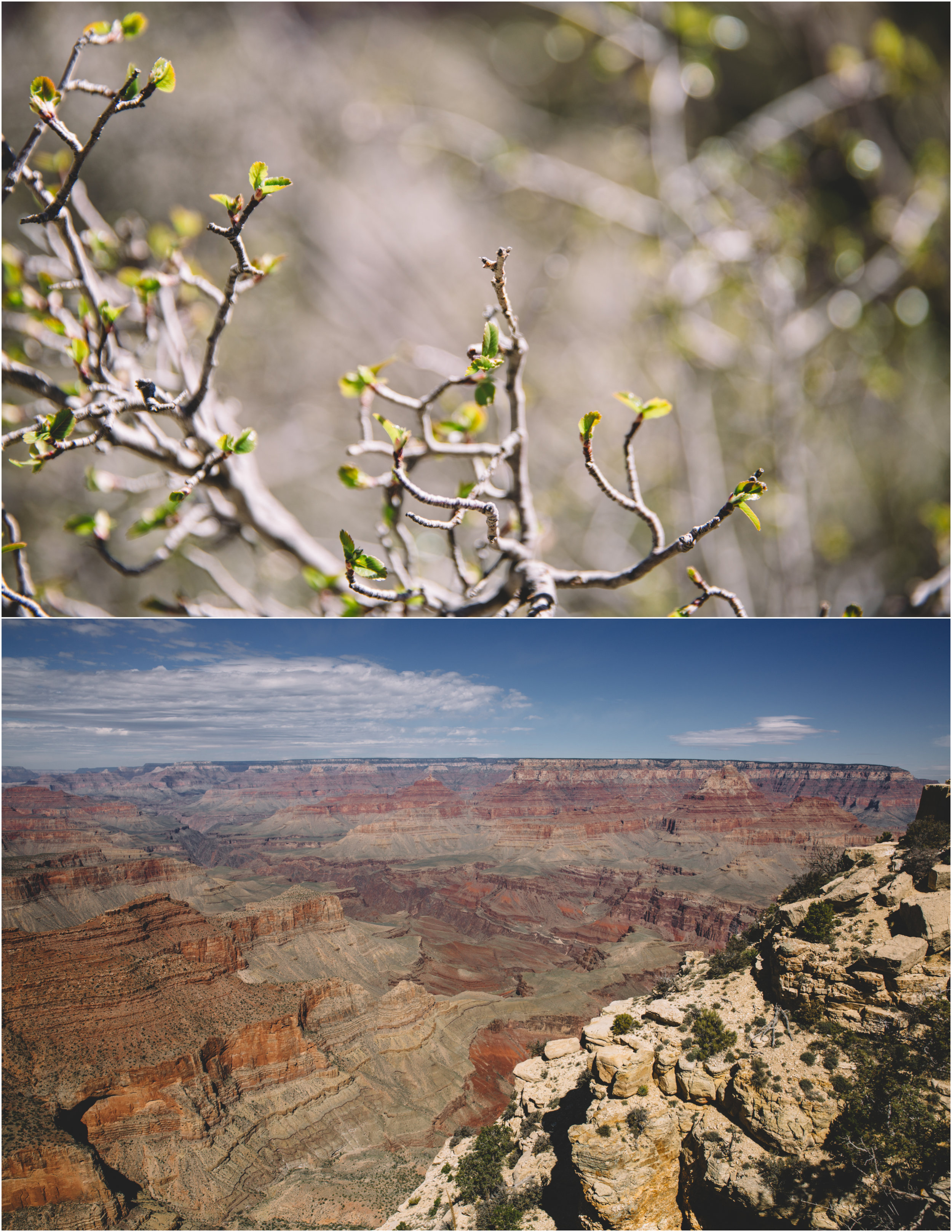 GrandCanyon_10.jpg