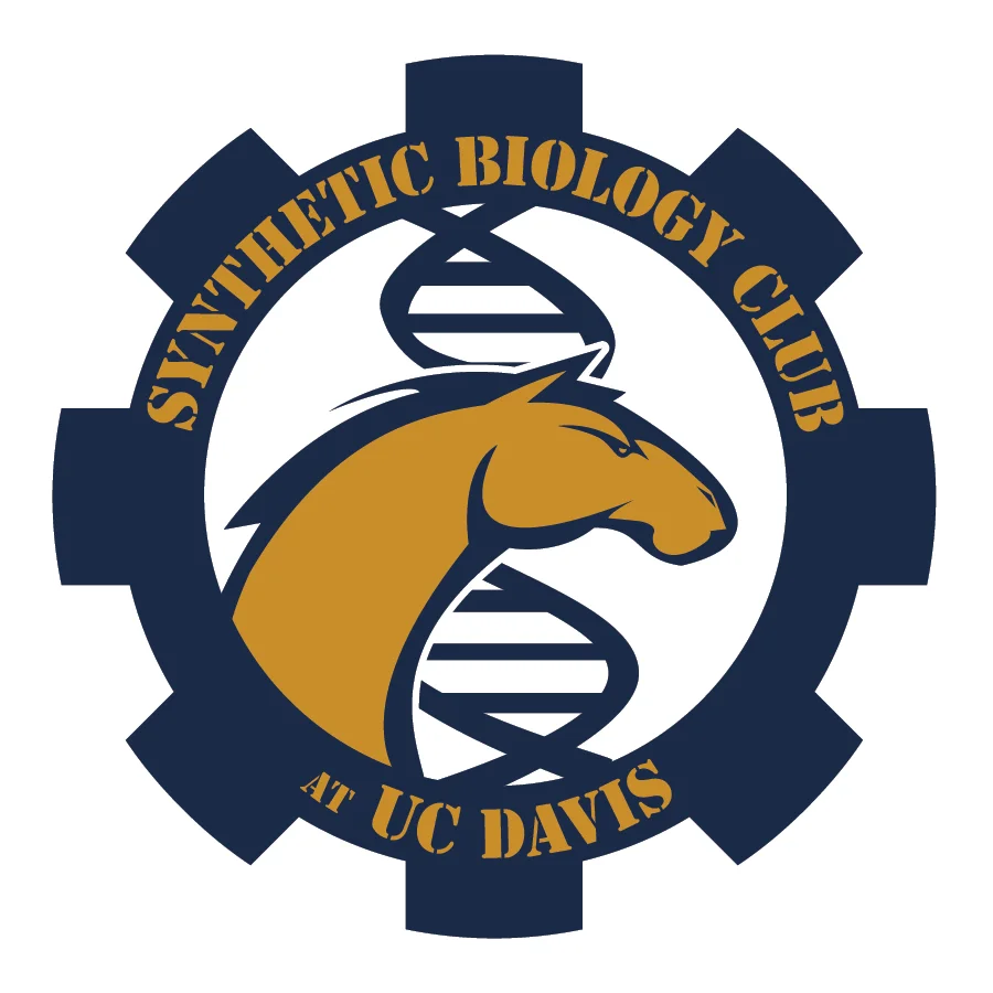 Synthetic Biology Club Logo