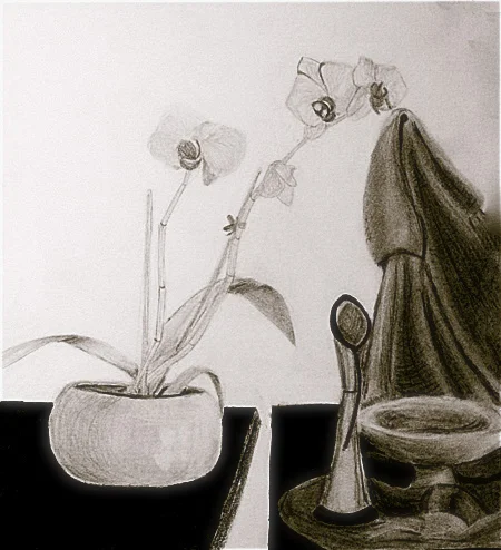 Still Life.jpg