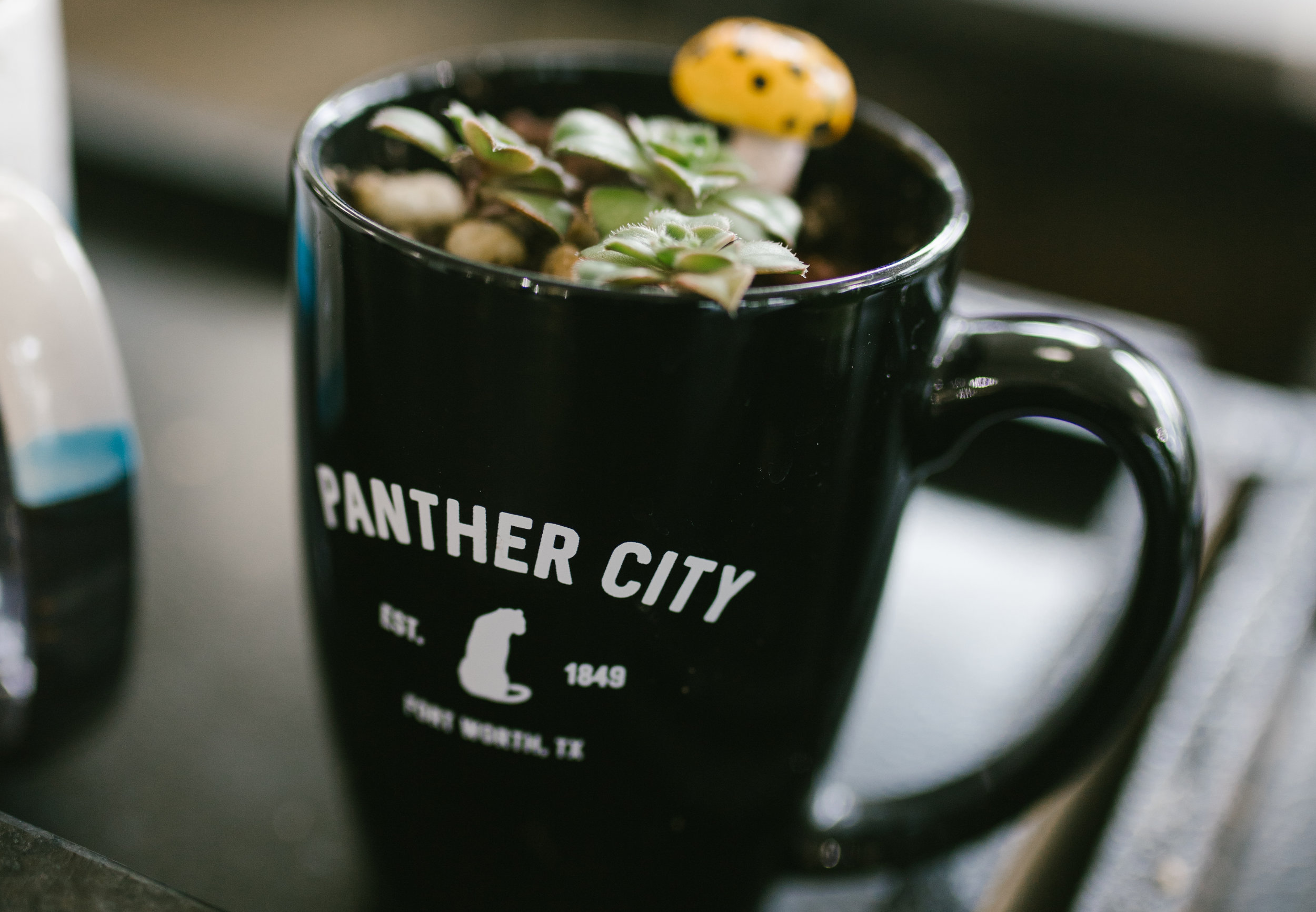 Panther City Mug.jpg