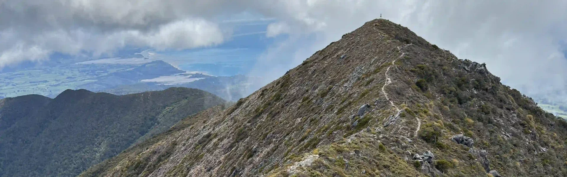 Parapara Peak track from Plan My Walk.webp