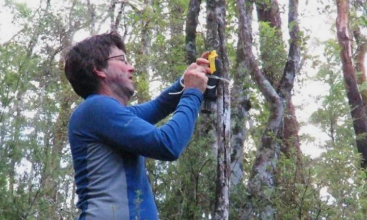 A note on kōkako-like calls