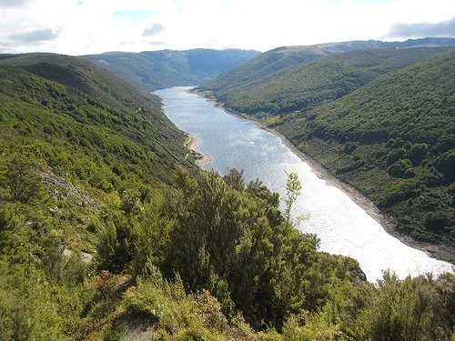 Recent encounter reports of note