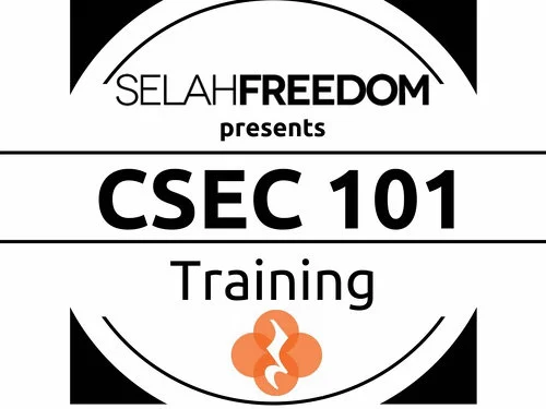 Commercial Sexual Exploitation of Children 101 Training