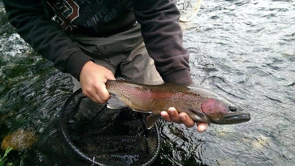 Fly Fishing Yosemite National Park