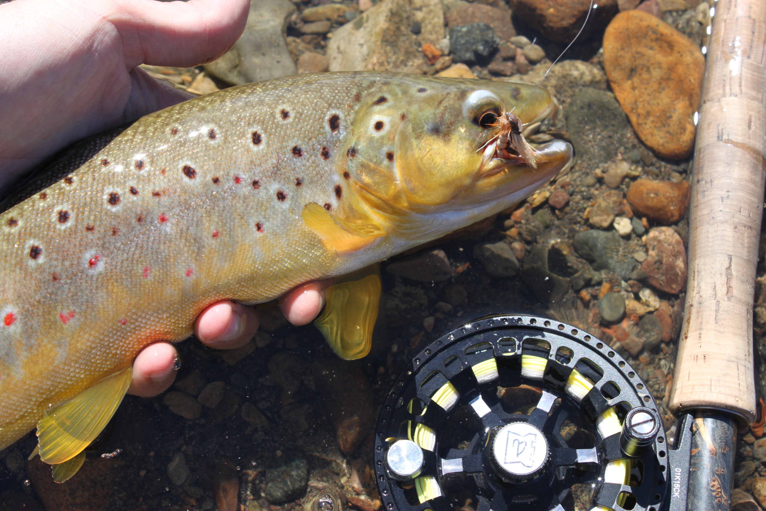 Fly Fishing Hardy Wraith