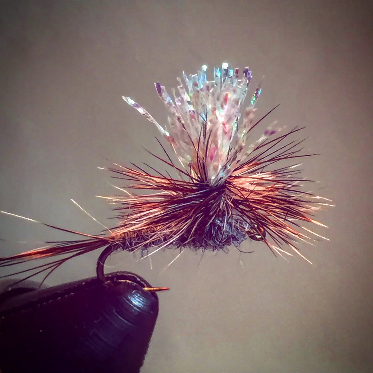 Dry Fly Fish Yosemite National Park