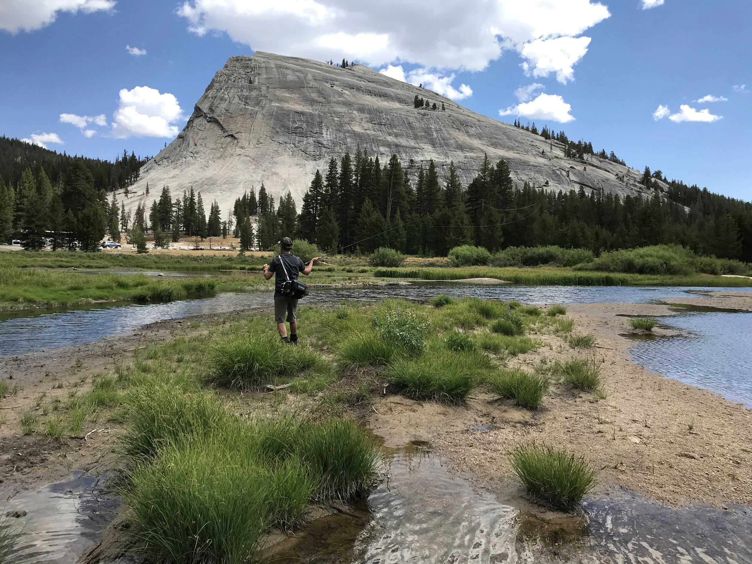 Tuolumne Fly Fishing in front of Lembert Dome