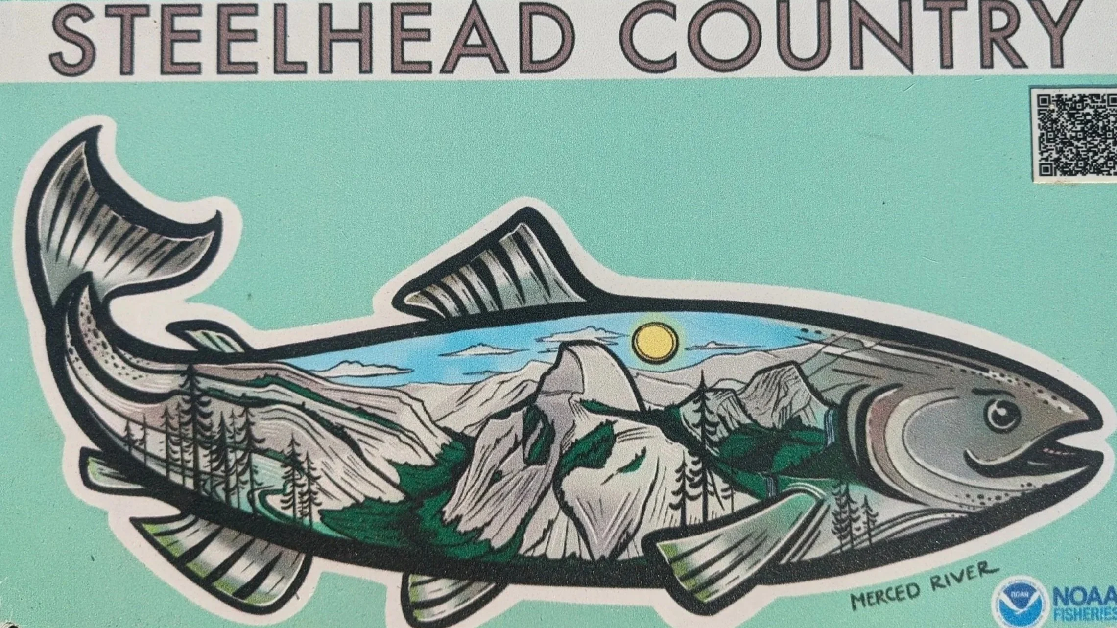 Steelhead in Yosemite National Park!