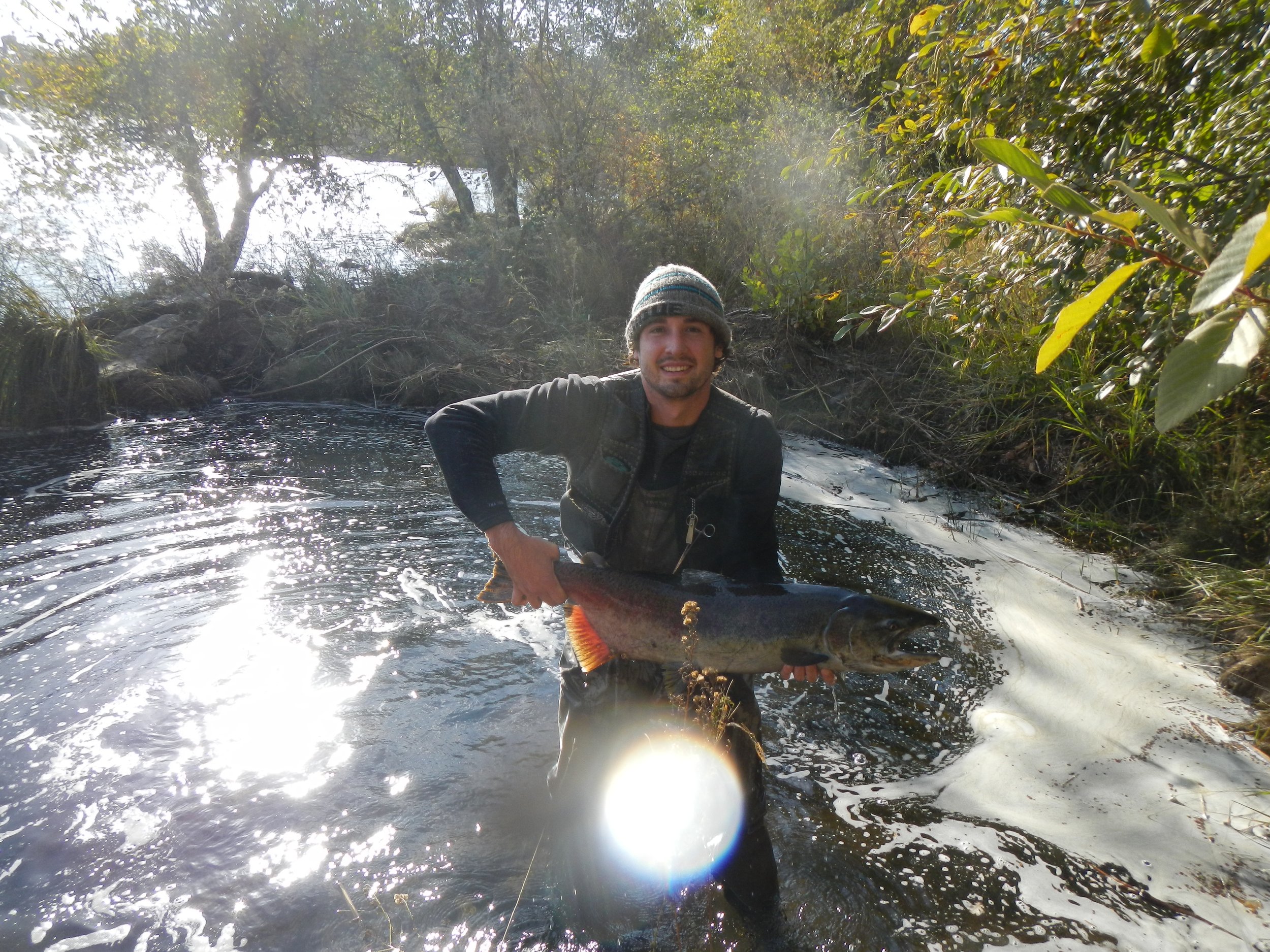 King Salmon Rescue on the Merced