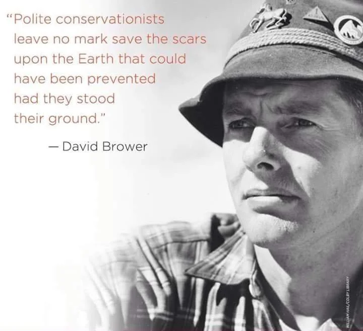 Think globally. Act locally.