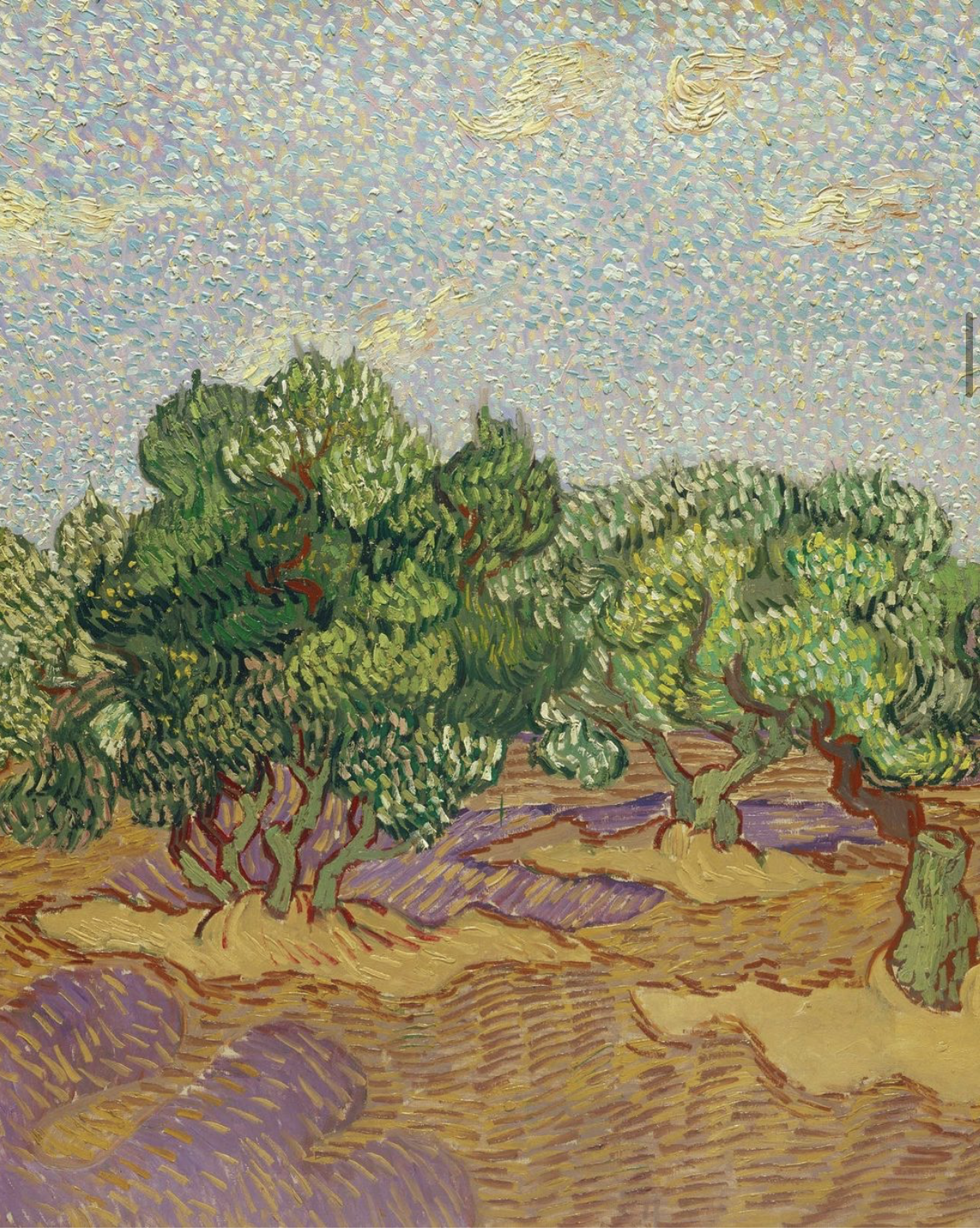 Van Gogh via Rebecca Taylor