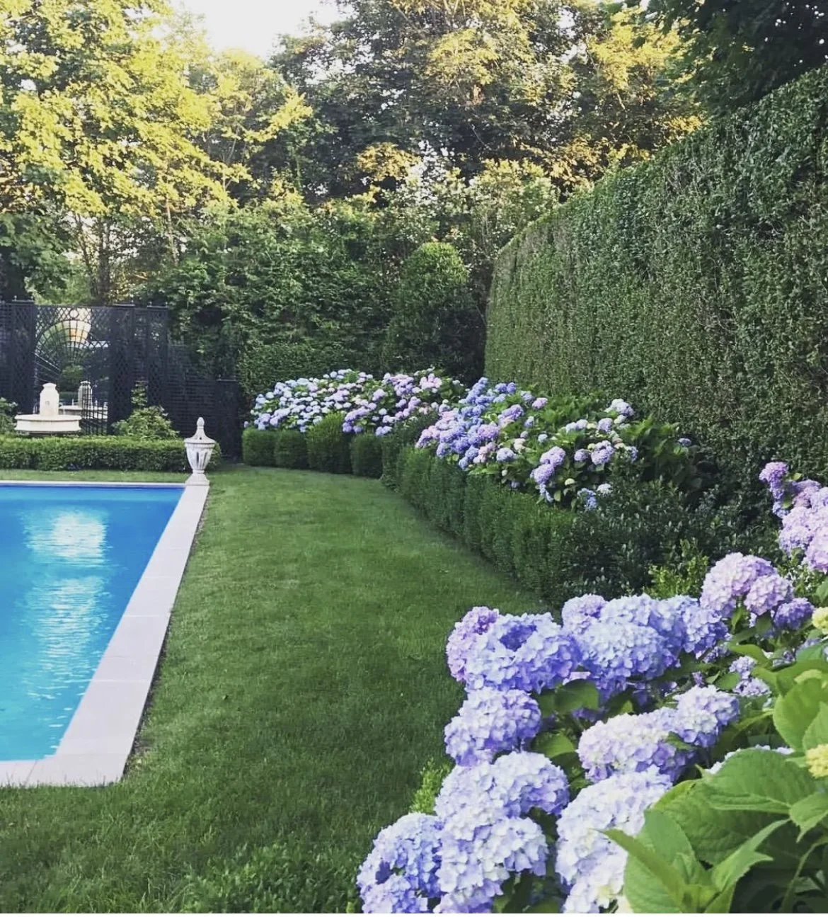 Hamptons Pool