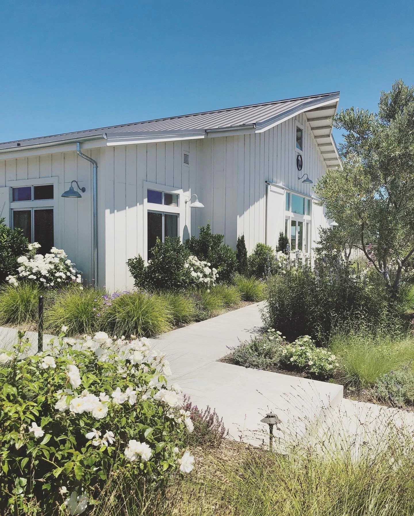 Here's How We Spent 3 Days in Napa