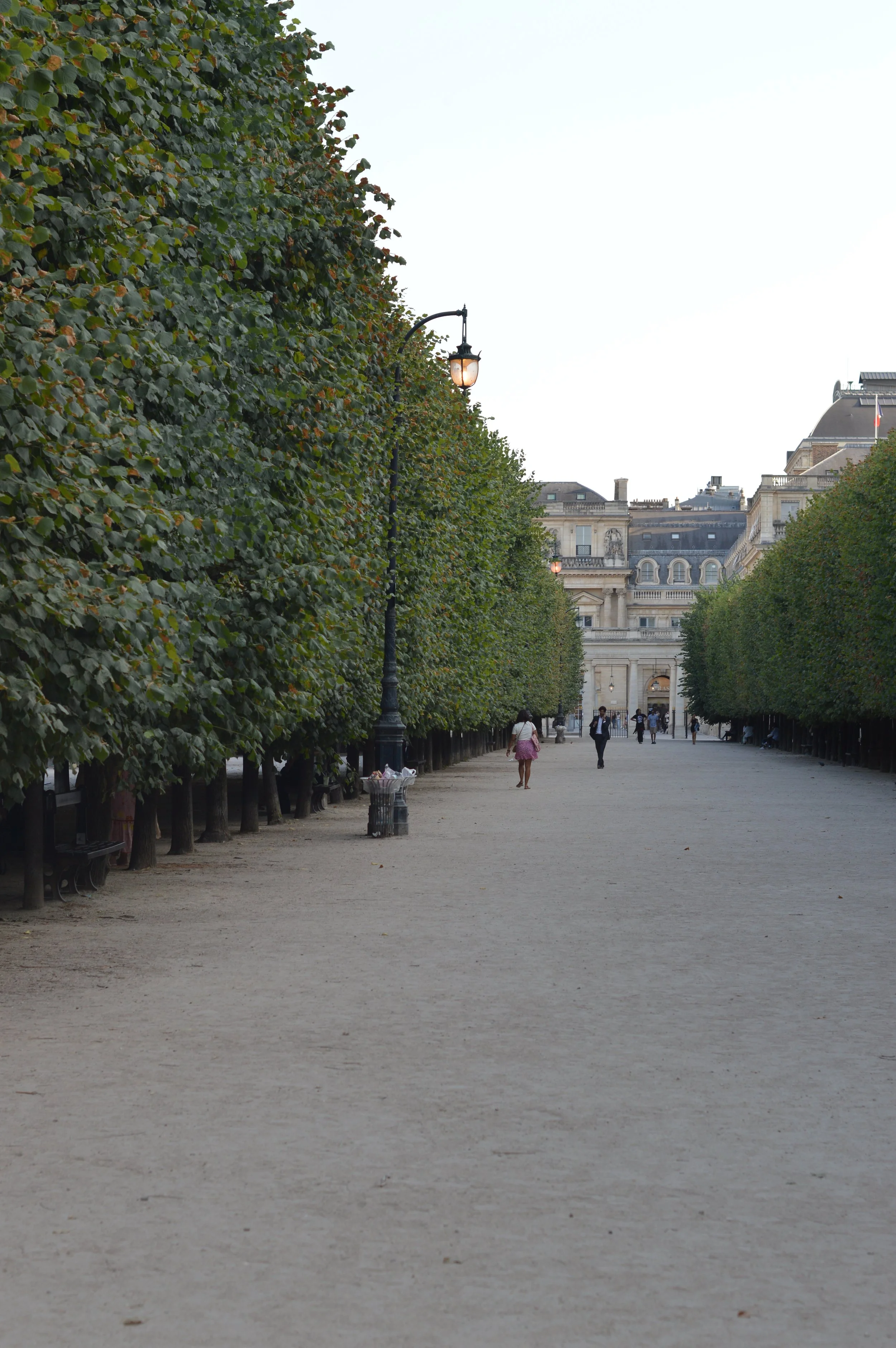 DSC_0019.JPG
