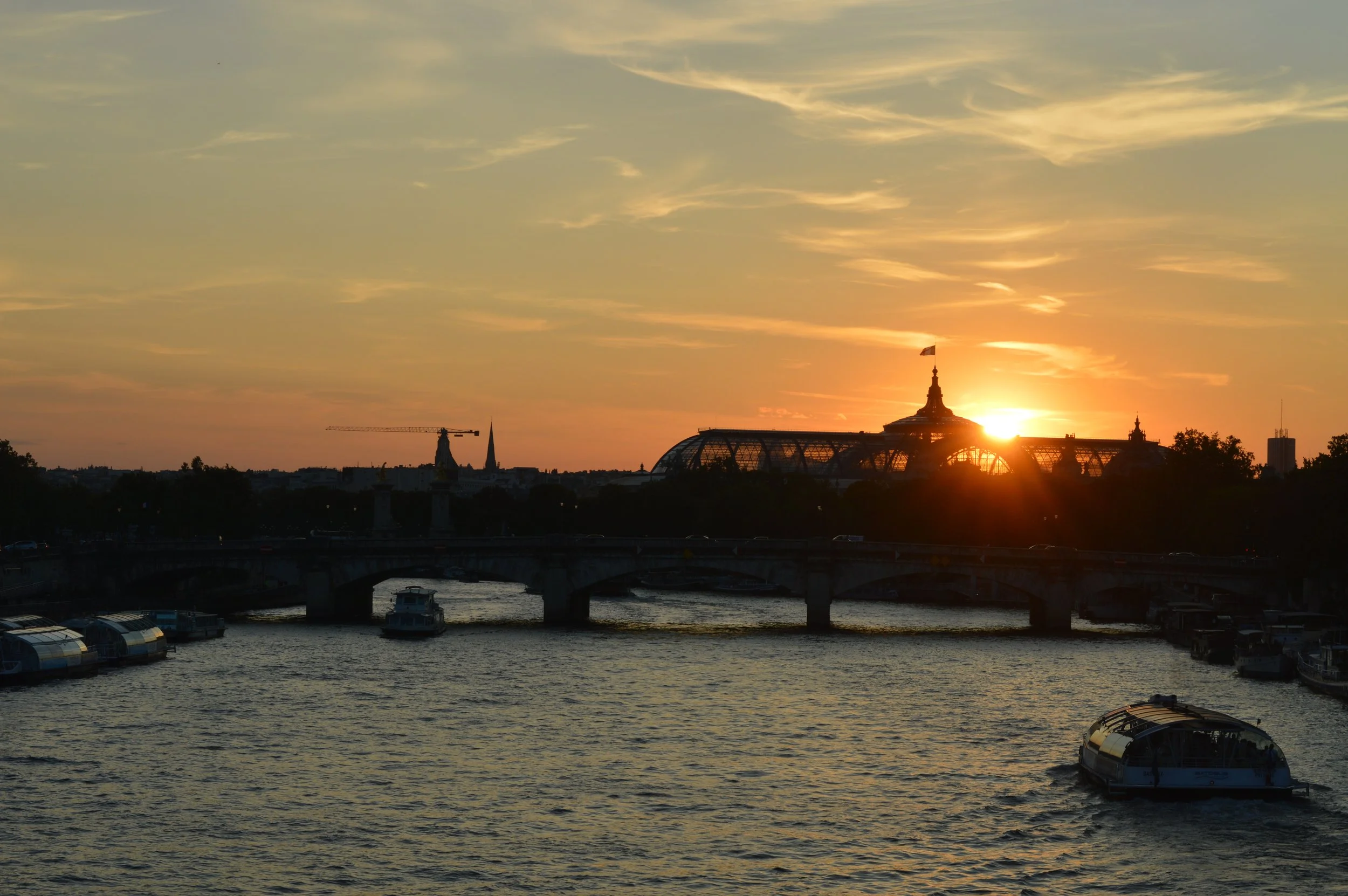 DSC_0349.JPG