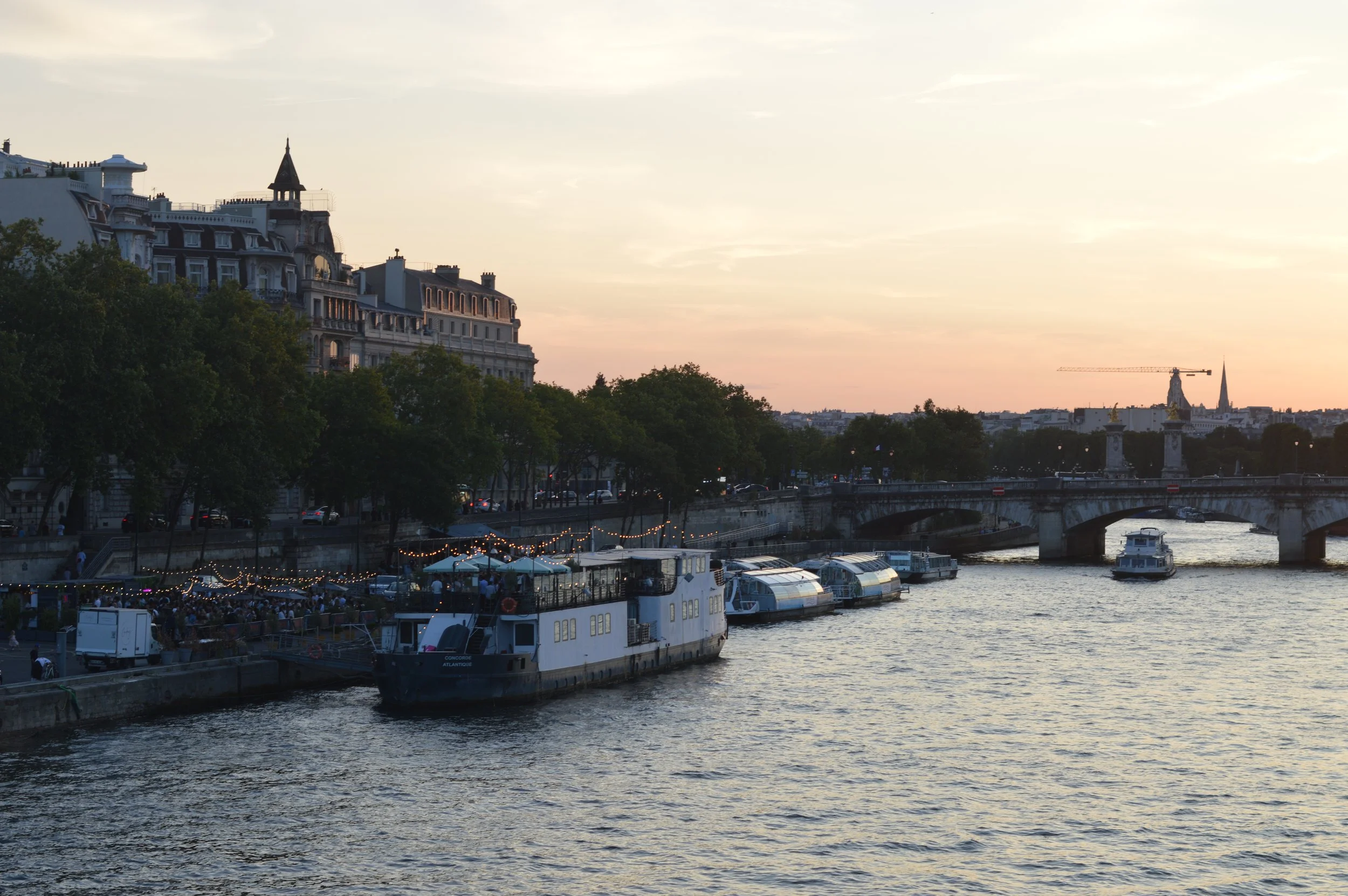 DSC_0350.JPG