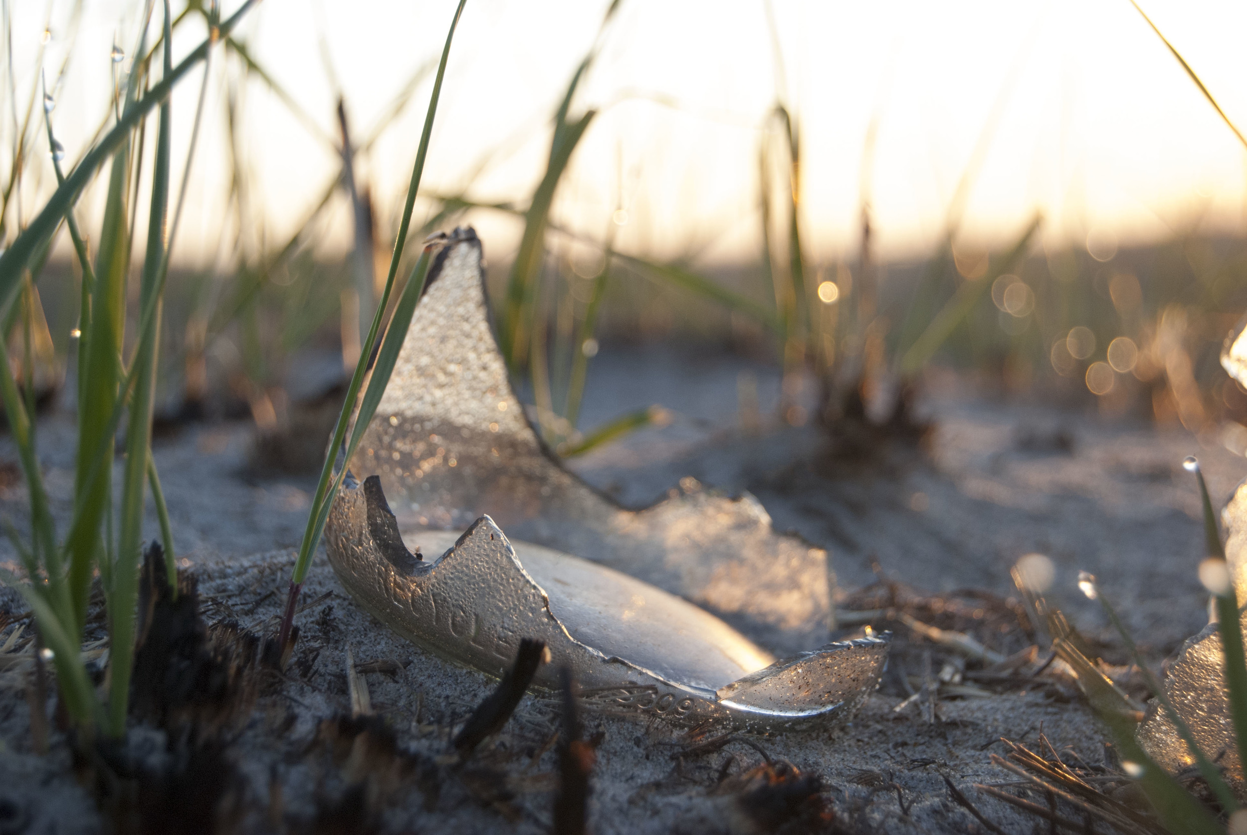 Broken glass in the grass