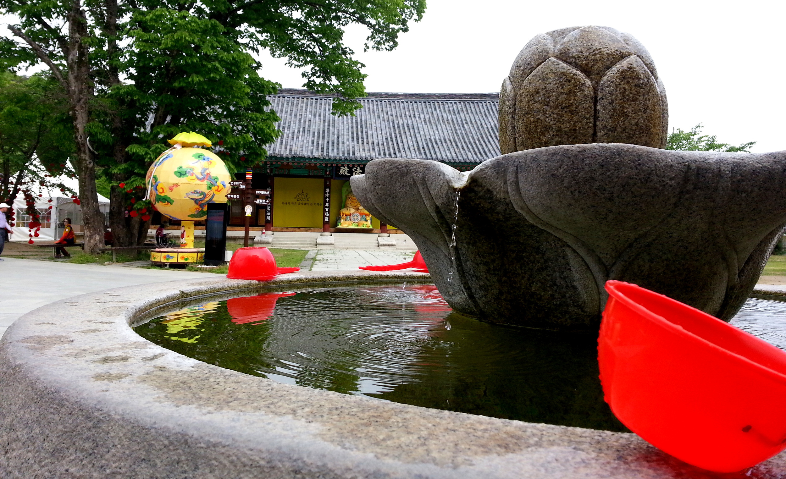 Drinking Well in Daegu, Korea