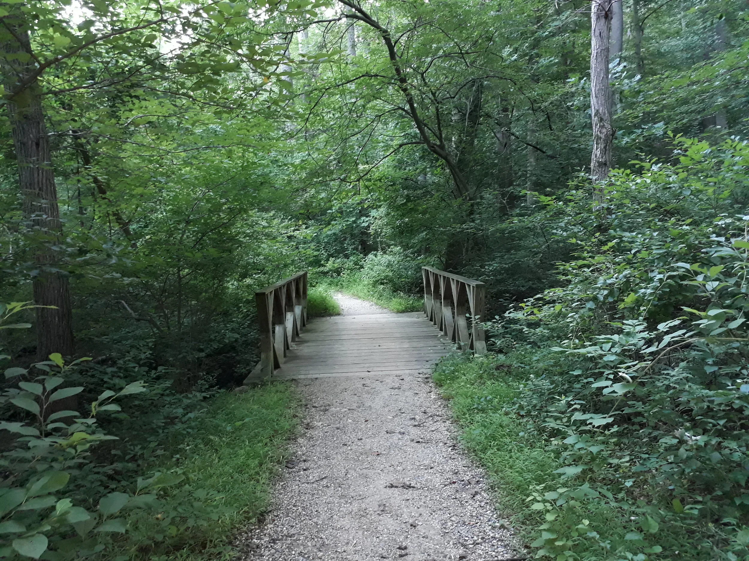 Day 9 - Homeward Bound