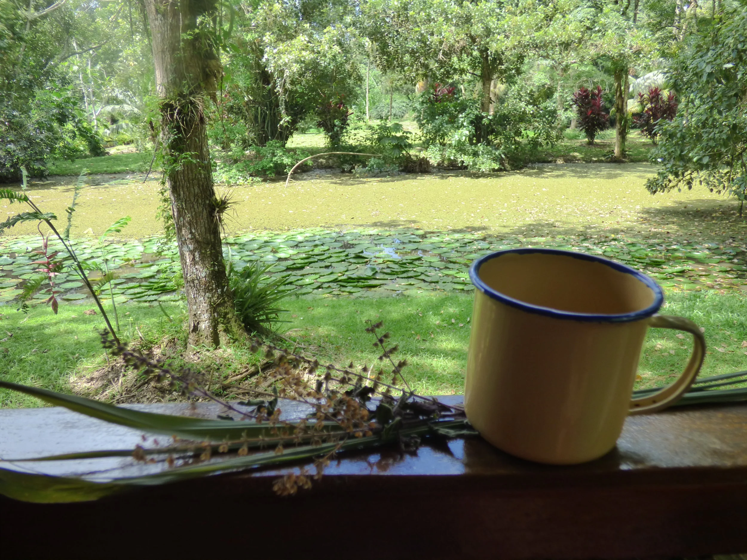 Get Out of Your Own Way