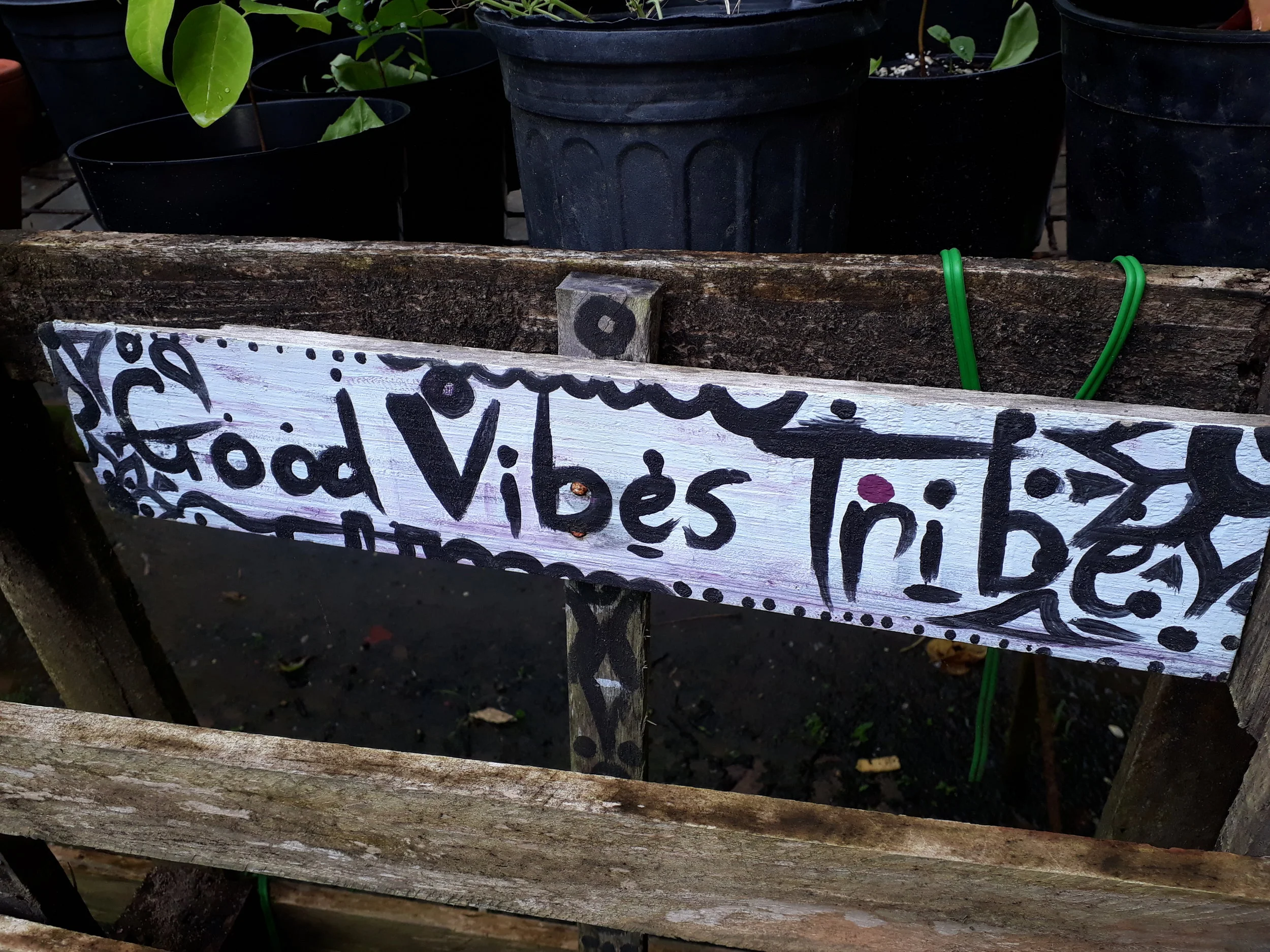 NiNa Vacation Camp - Day 5