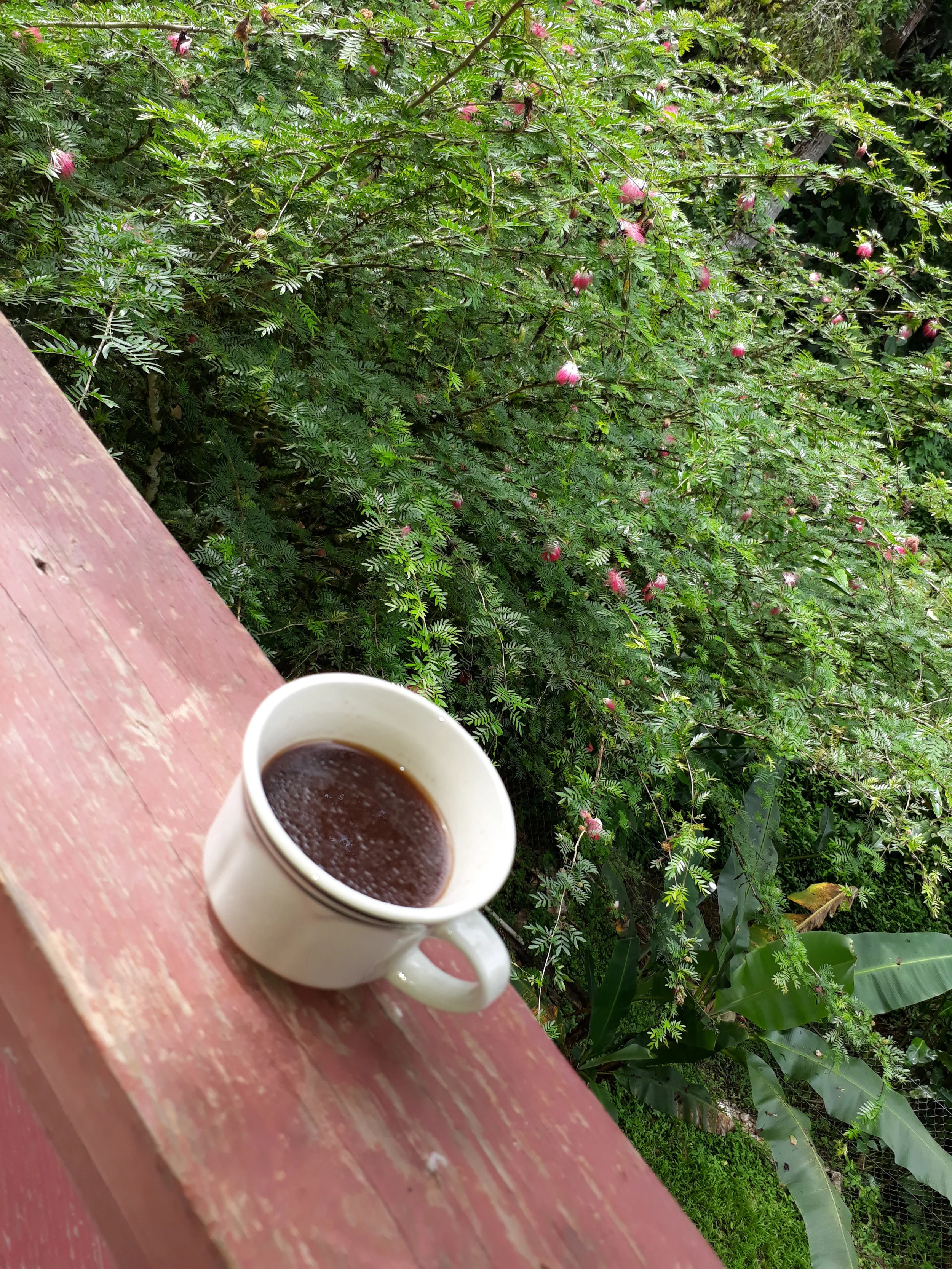 A Different Definition of Praise